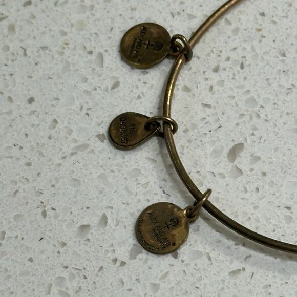 Delta Phi Epsilon Alex & Ani Bracelet - Picture 7 of 7